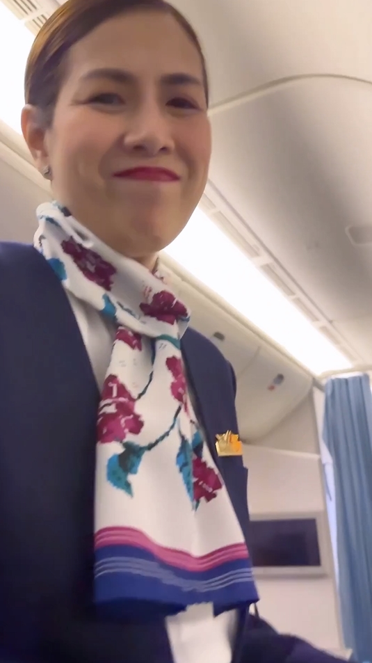  สาวแกล้งแอร์โฮสเตส  