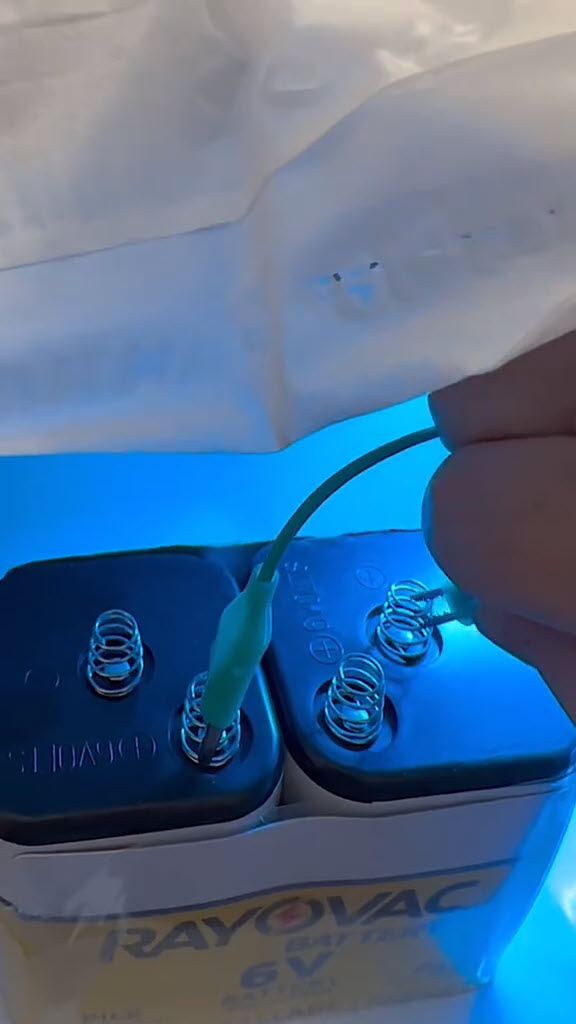  กุ้งกระเทียมลอยฟ้า