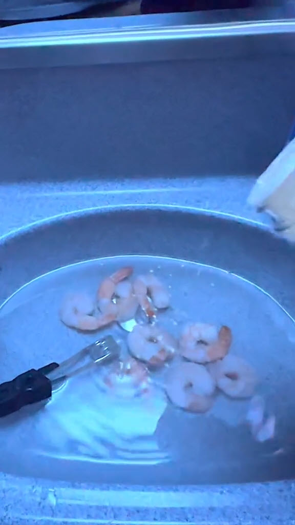  กุ้งกระเทียมลอยฟ้า