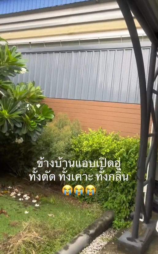 ปัญหาเพื่อนบ้าน