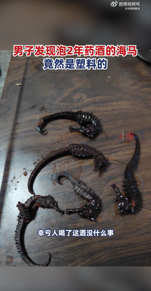 มังกรทะเลมาดองเหล้า