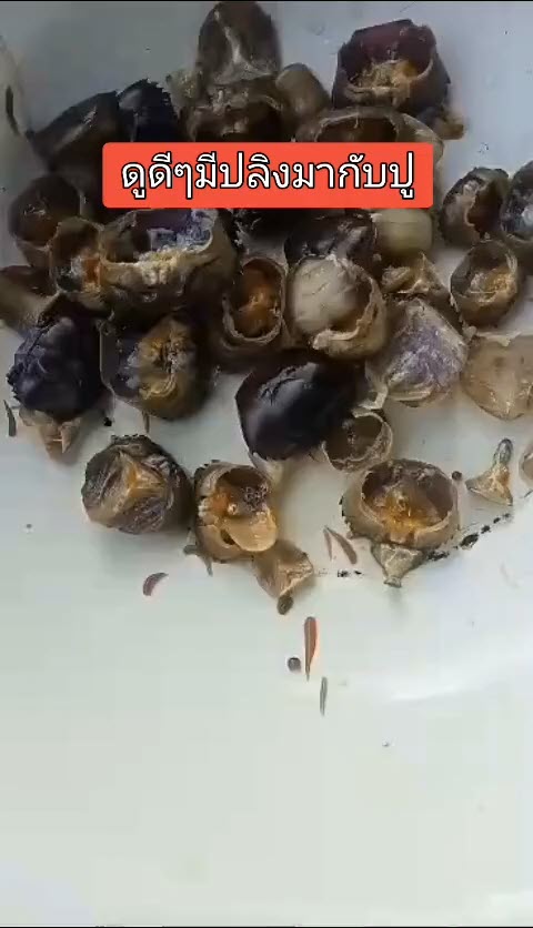 สิ่งแปลกปลอมในอาหาร