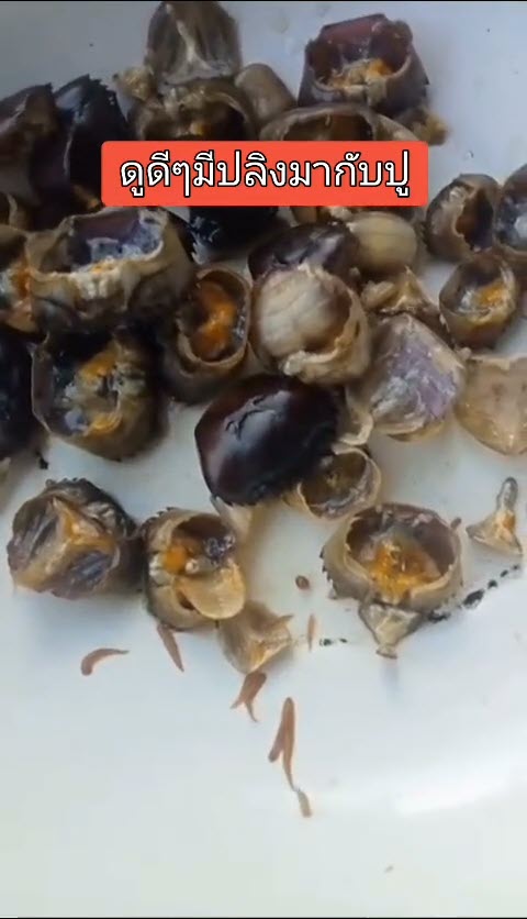 สิ่งแปลกปลอมในอาหาร