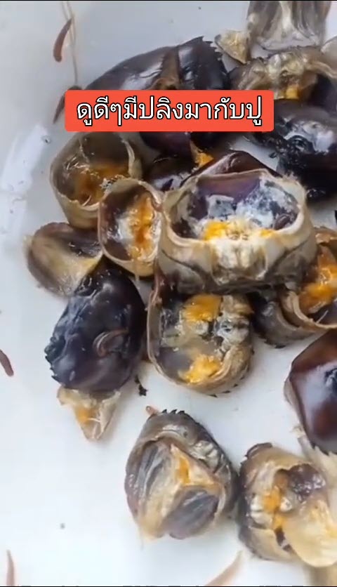 สิ่งแปลกปลอมในอาหาร