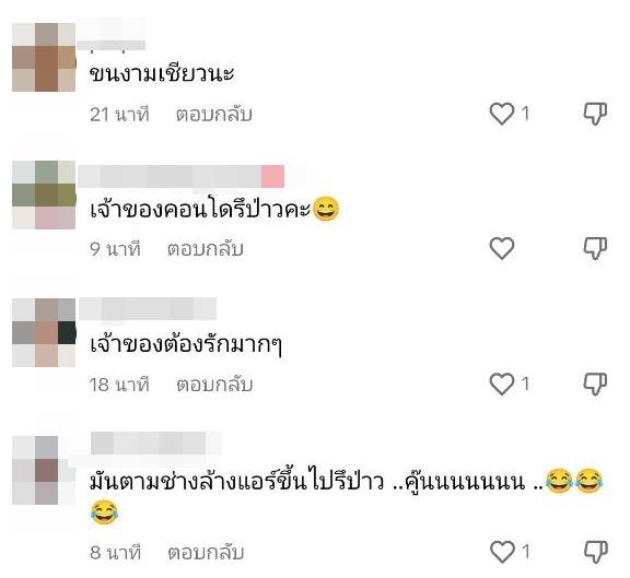 หมาบนคอนโดหรู