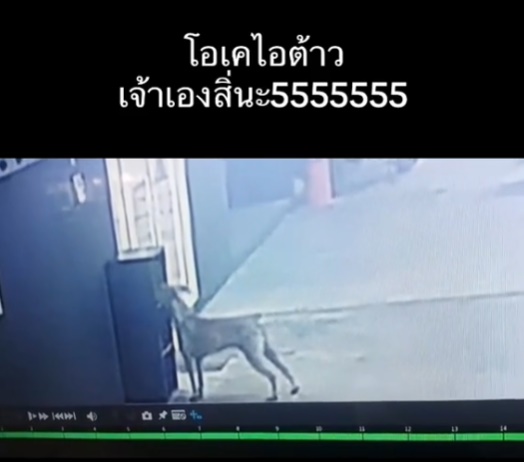 เจอตัวขโมย... อารมณ์เปลี่ยน !