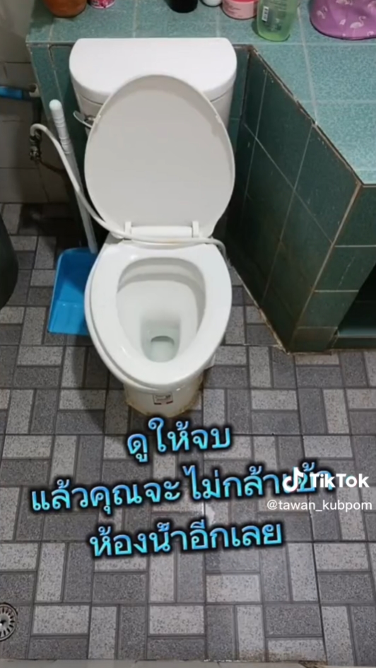 งูในชักโครก