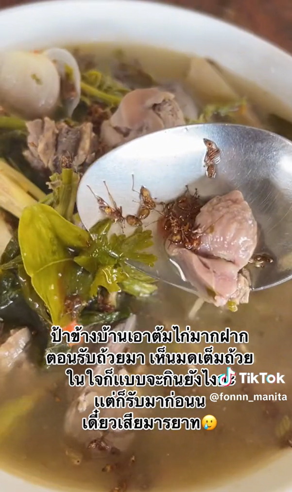 ต้มไก่อีสาน