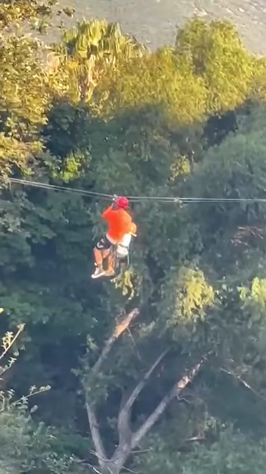 นาทีนรก เด็ก 6 ขวบร่วงจากซิปไลน์