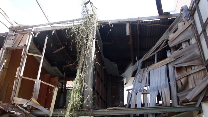 โจรขโมยของ