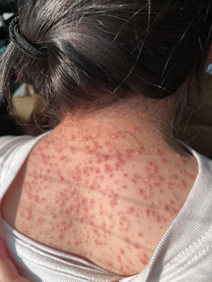 น้องหยก