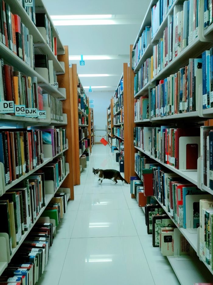 คืนไอแพดมา