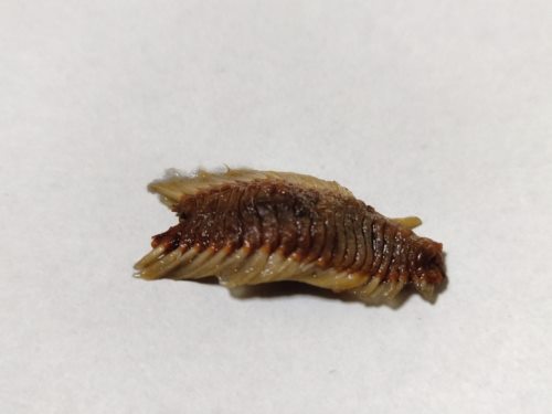 ไปต่อดีไหม   