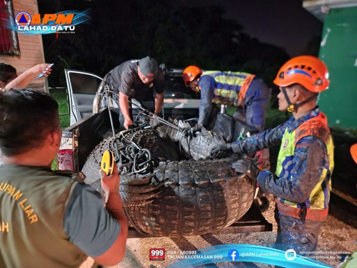 จระเข้ยักษ์ 1.2 ตัน 