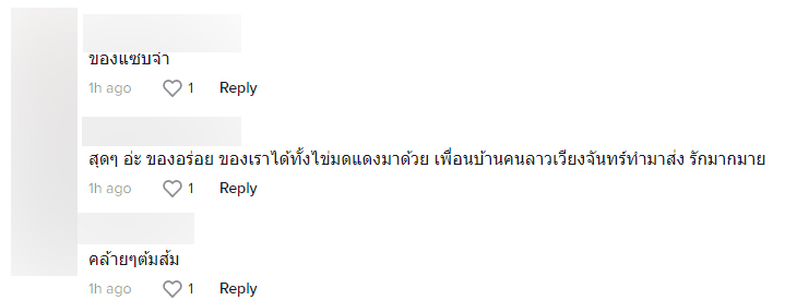 ต้มไก่อีสาน