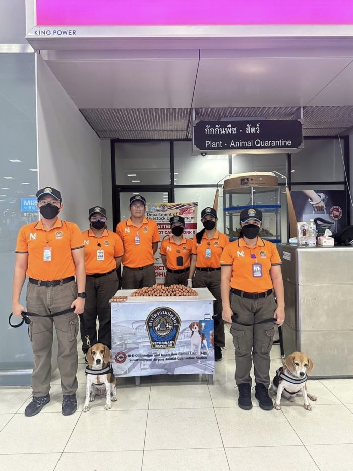  ไส้กรอกนำเข้าจากจีน