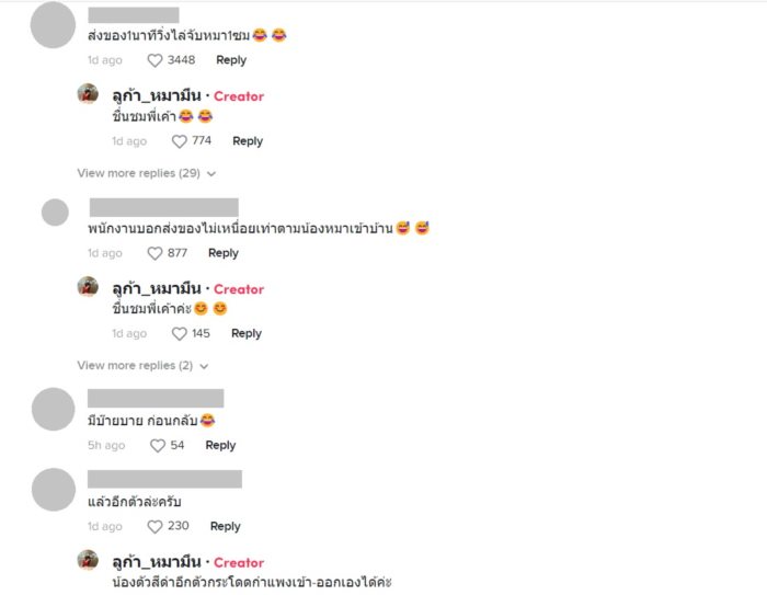 ส่งของ 1 นาที ไล่จับหมา 1 ชั่วโมง