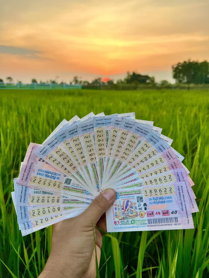  แอดมิน กับข้าวกับปลาโอ 