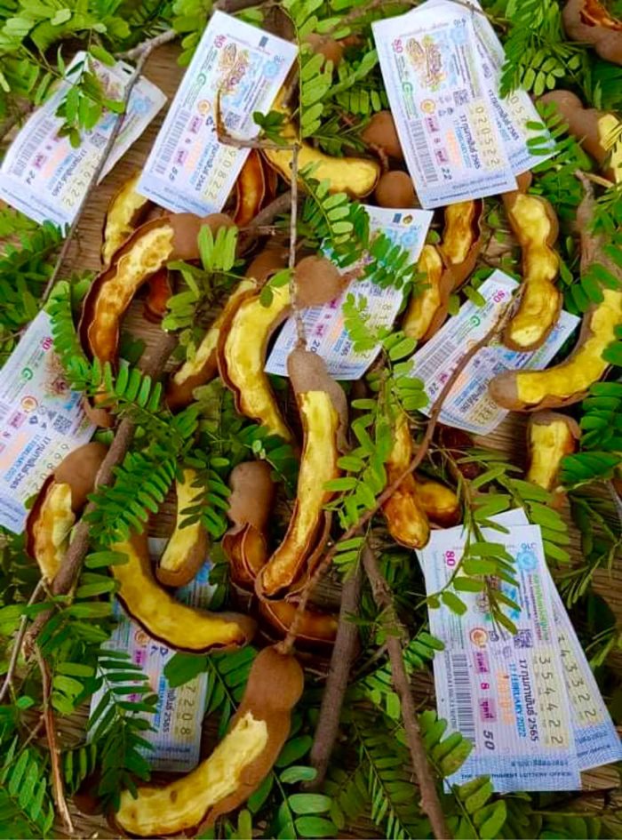  แอดมิน กับข้าวกับปลาโอ 