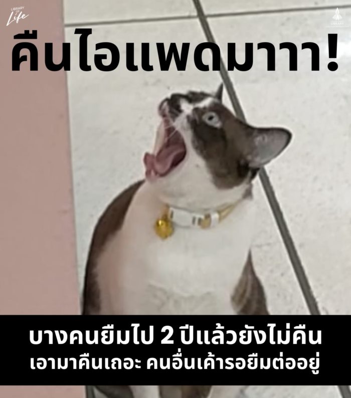 คืนไอแพดมา