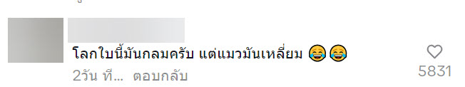 ช่วยแมวจร
