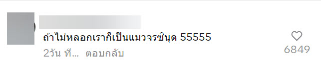 ช่วยแมวจร