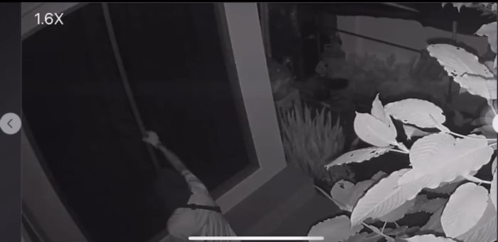 โจรขโมยของ