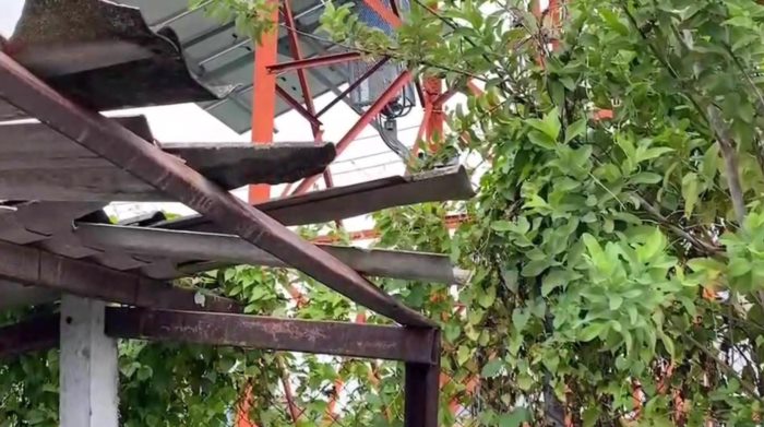 ฆ่าตัวตาย