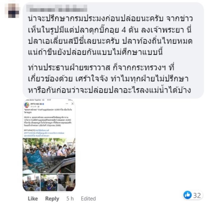 ปล่อยปลา