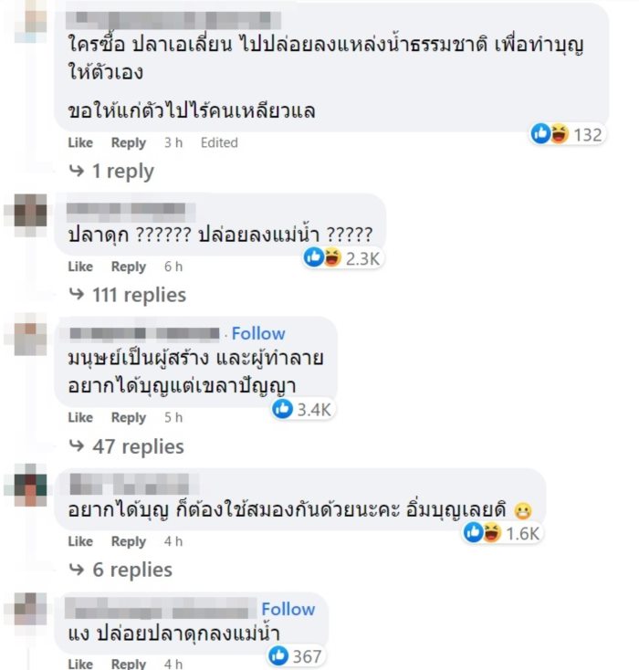 ปล่อยปลา