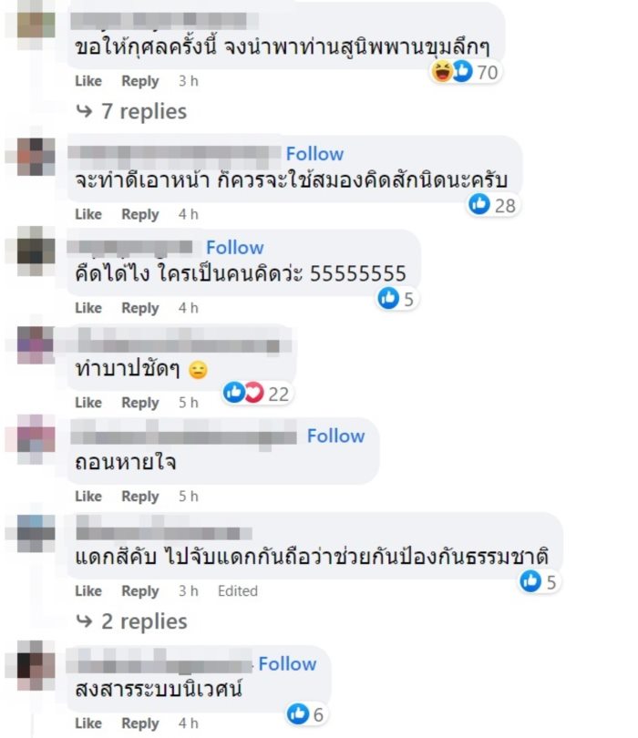 ปล่อยปลา