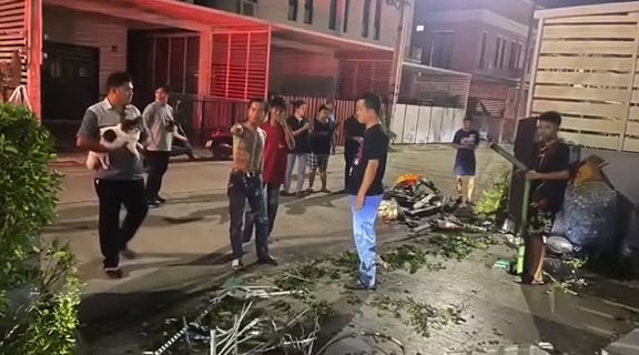 กระบะพุ่งชนกำแพง