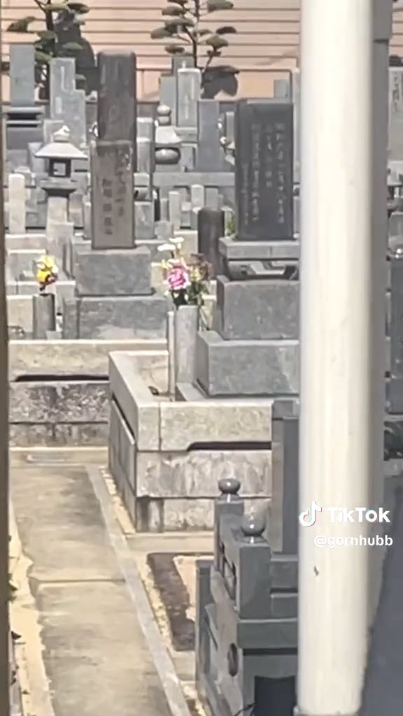 ไวรัลโรงแรมที่ญี่ปุ่น