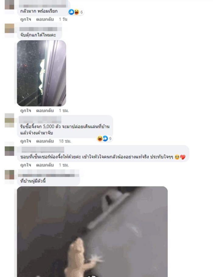 เห็นแล้วอยากเปิดฟาร์มจิ้งจกที่บ้าน 