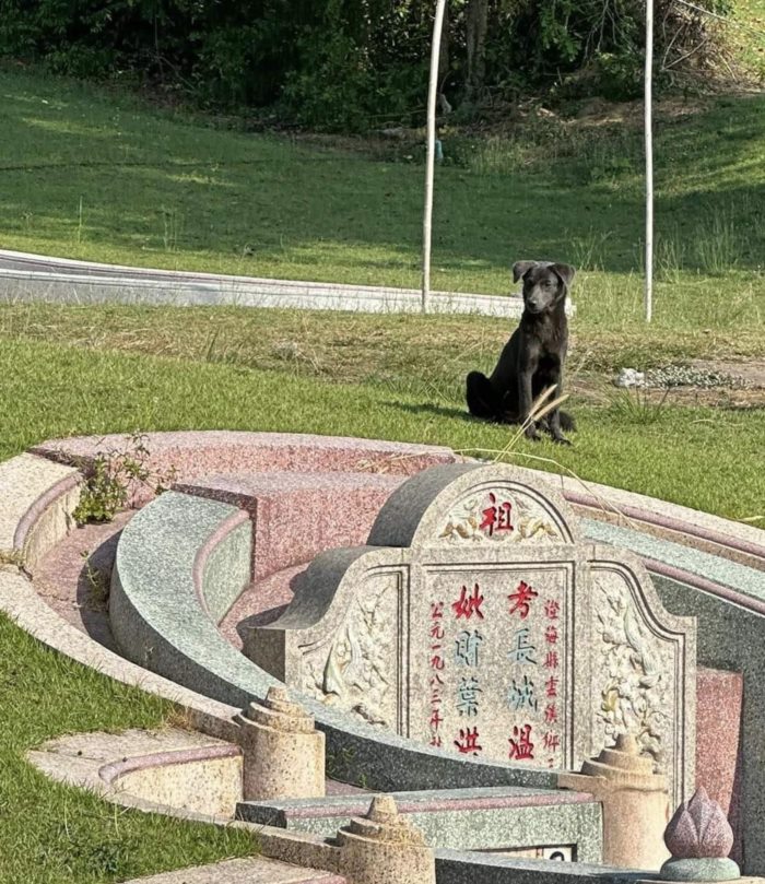 ของเซ่นไหว้