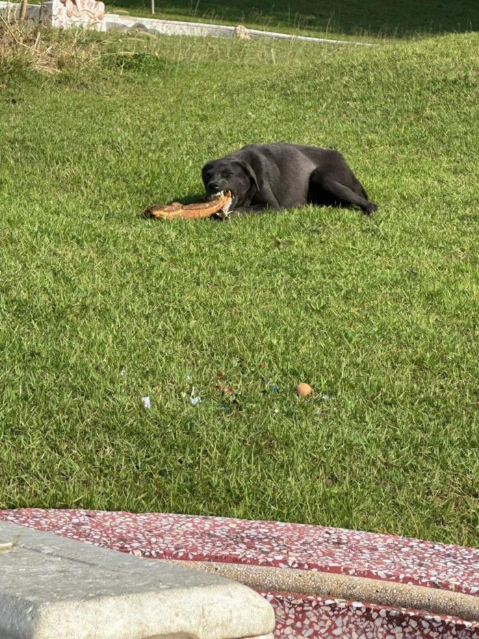 ของเซ่นไหว้