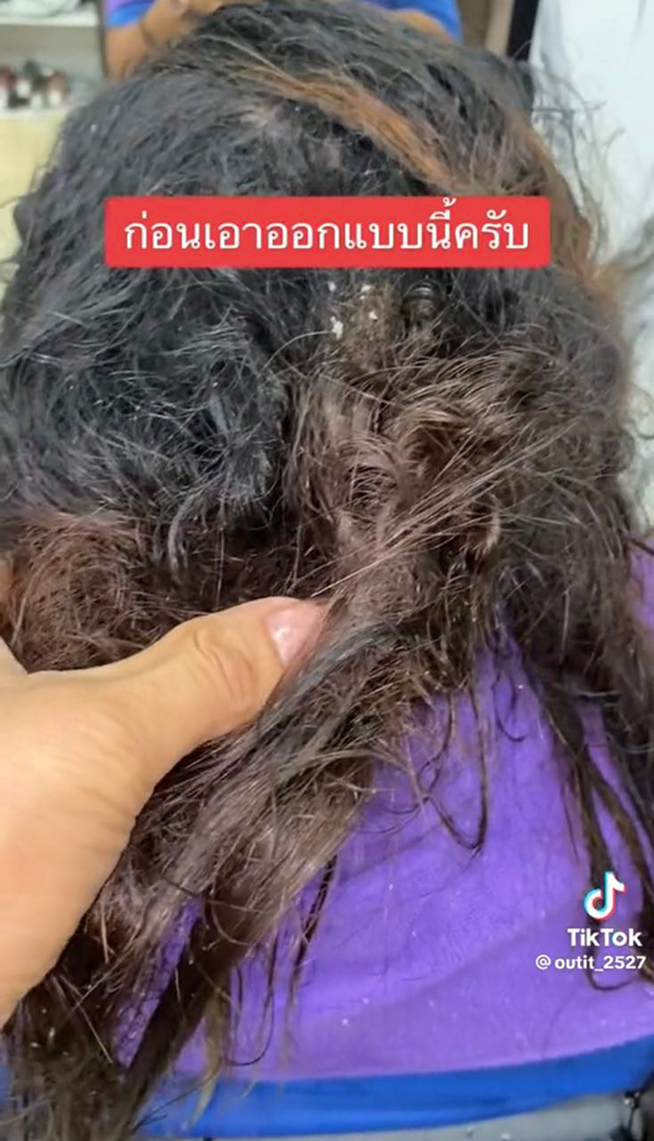 ช่างทำผมสู้ชีวิต