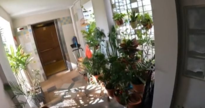 ไรเดอร์อารมณ์ขัน 