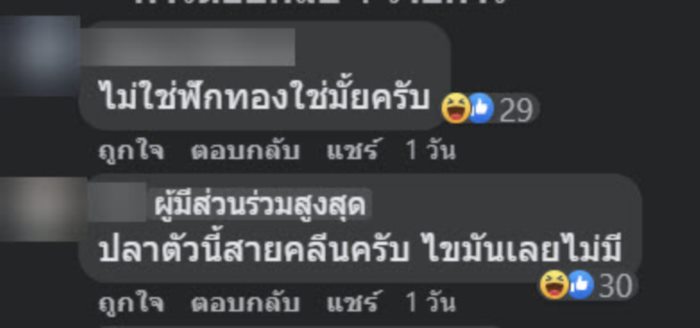 ซาชิมิ ร้านบุฟเฟต์