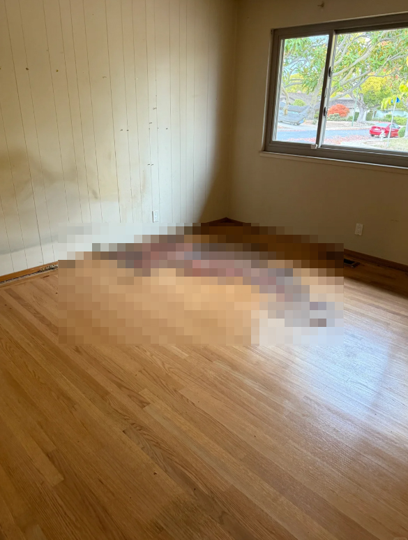 บ้านมือสอง