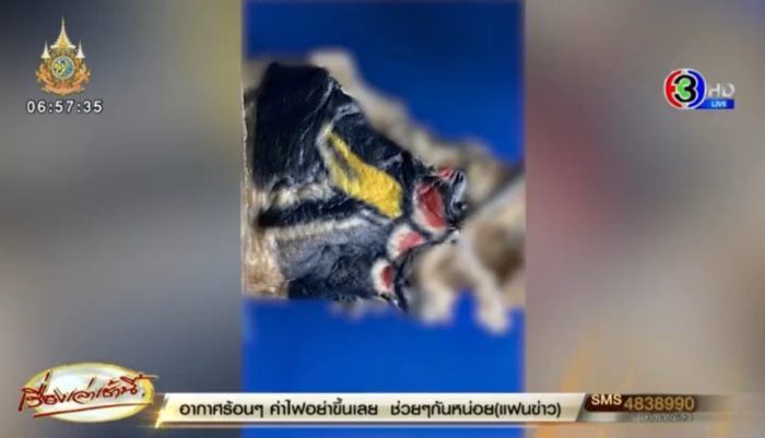 ฆ่าหั่นศพญี่ปุ่น