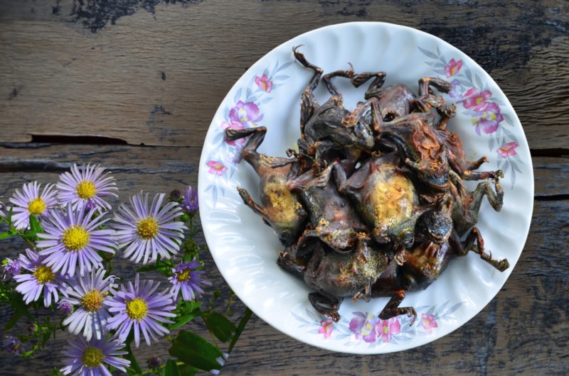 อึ่งอ่าง