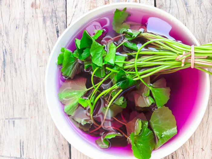 กินด่างทับทิม อันตราย !