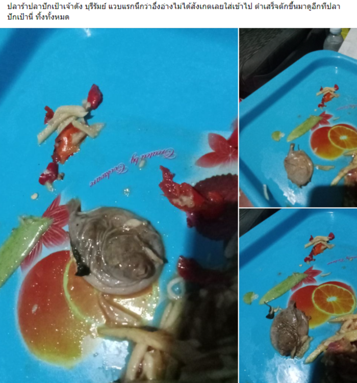  ส้มตำปลาร้า