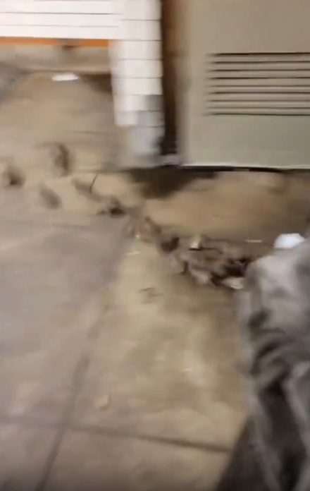 คนไร้บ้าน