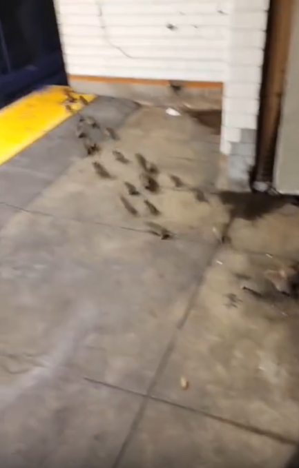 คนไร้บ้าน