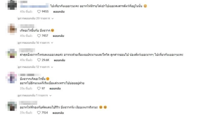  มาสคอตปลานีโม