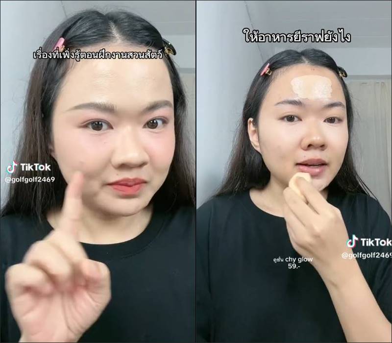 ทำงานสวนสัตว์