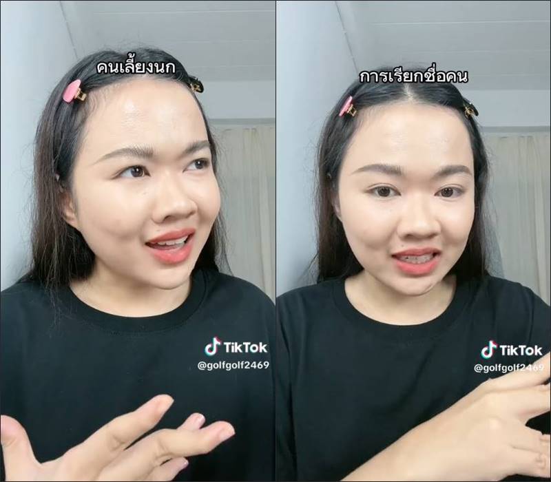 ทำงานสวนสัตว์