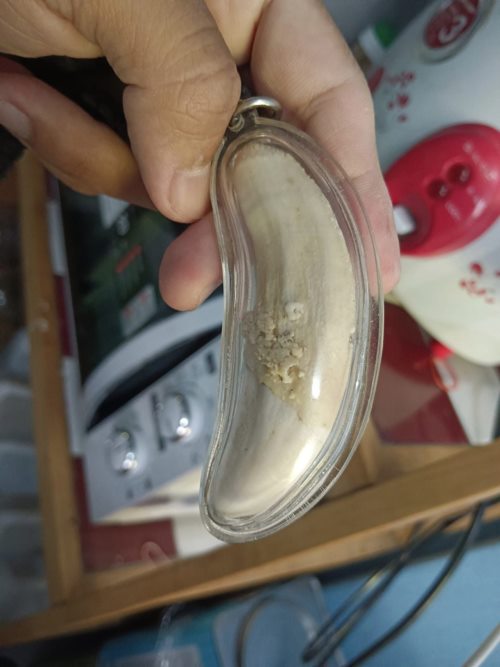 เขี้ยวเสือ 